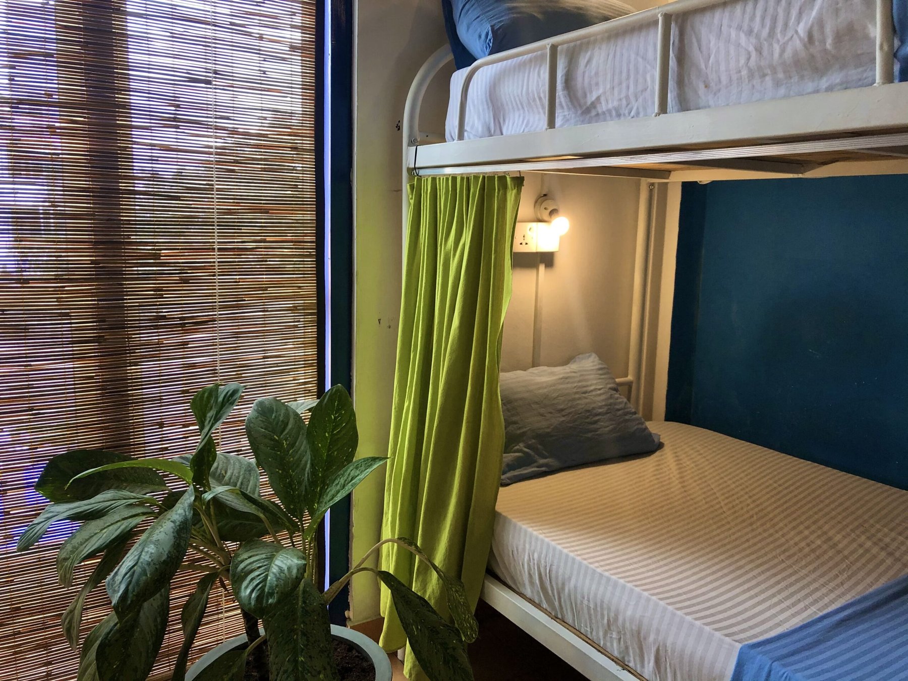 Safari Dorm at Seconds Colombo — bunks with bamboo blinds, green curtain, deep navy accent wall, plant in the foreground